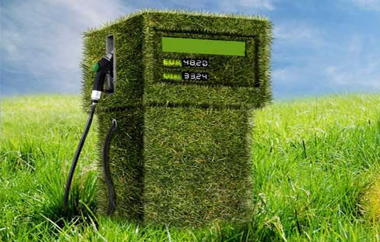 Los biocombustibles y los recaudos para evitar inconvenientes de calidad y en las instalaciones
