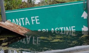 ley de Emergencia Climatológica