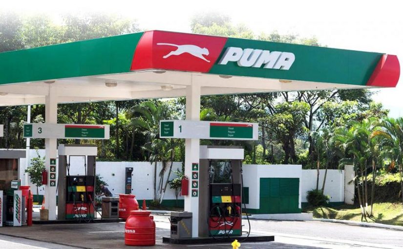 Puma presentó su proyecto comercial a los expendedores