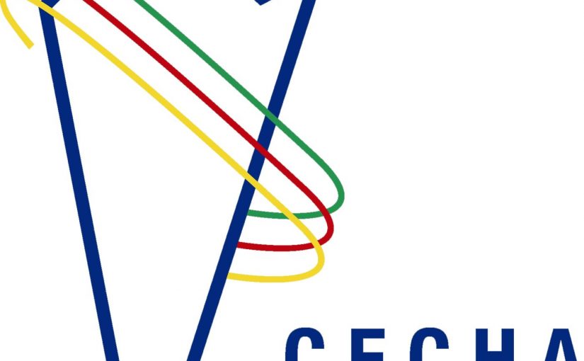 Gabriel Bornoroni es el nuevo Presidente de CECHA